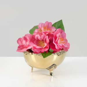 4.25in Wide Brass Polished Bowl